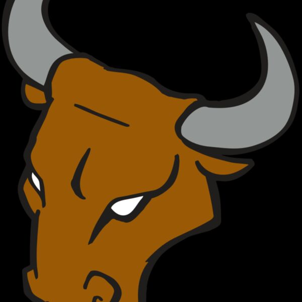 AR BULL 28 RC Thumbnail