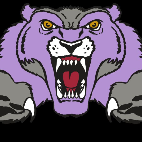 AR WOLVERINE 17 RC Thumbnail