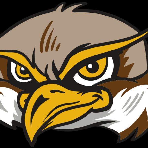 AR12 OWL 02 RQC Thumbnail