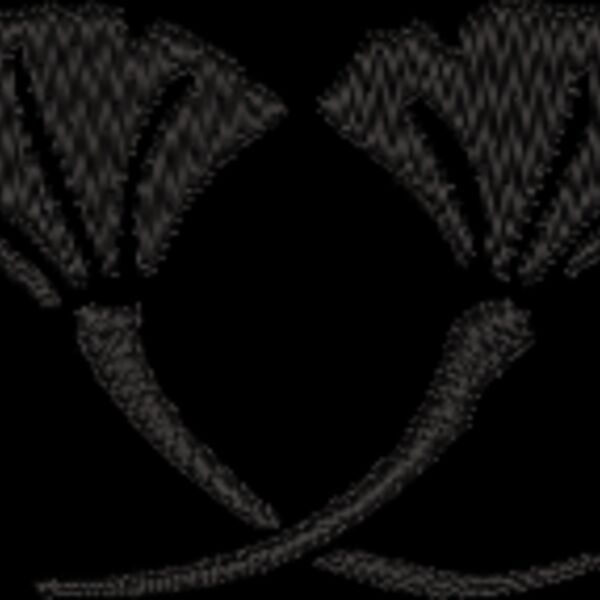 NZ541 Thumbnail