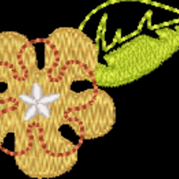 NB229 48 Thumbnail