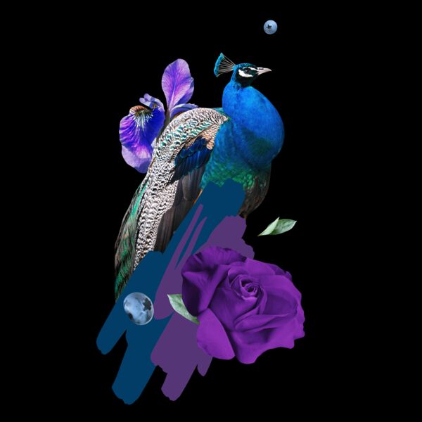 Printful Peacock Thumbnail