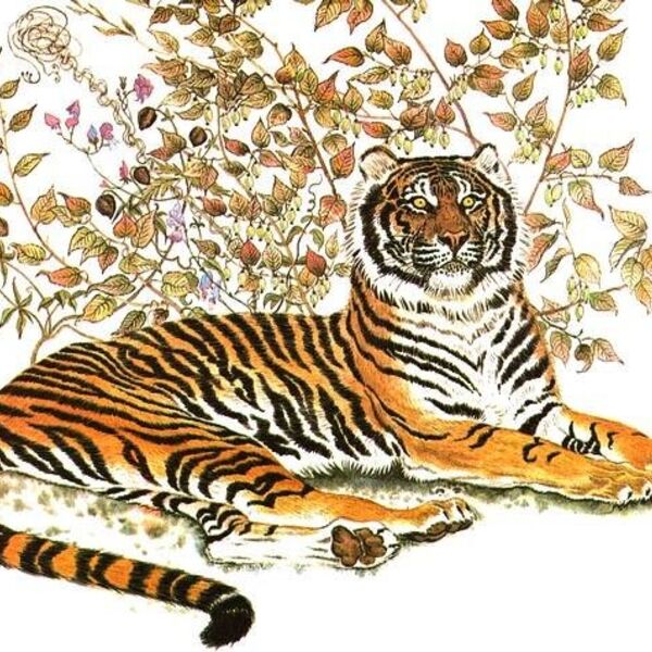 Vector tiger Thumbnail